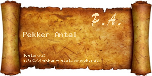 Pekker Antal névjegykártya